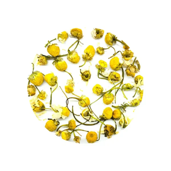 Chamomile Flower - Image 3