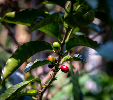 Untitled design (40)